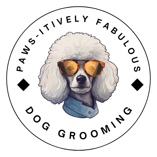 Make your dog look Pawsitively Fabulous!