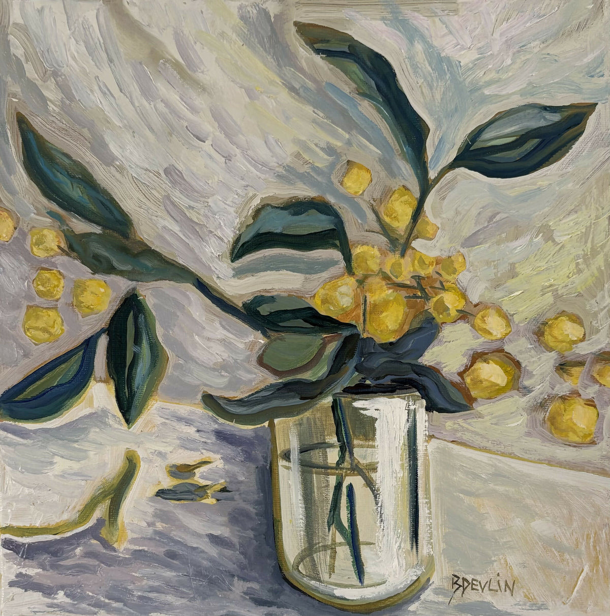 Golden Wattle