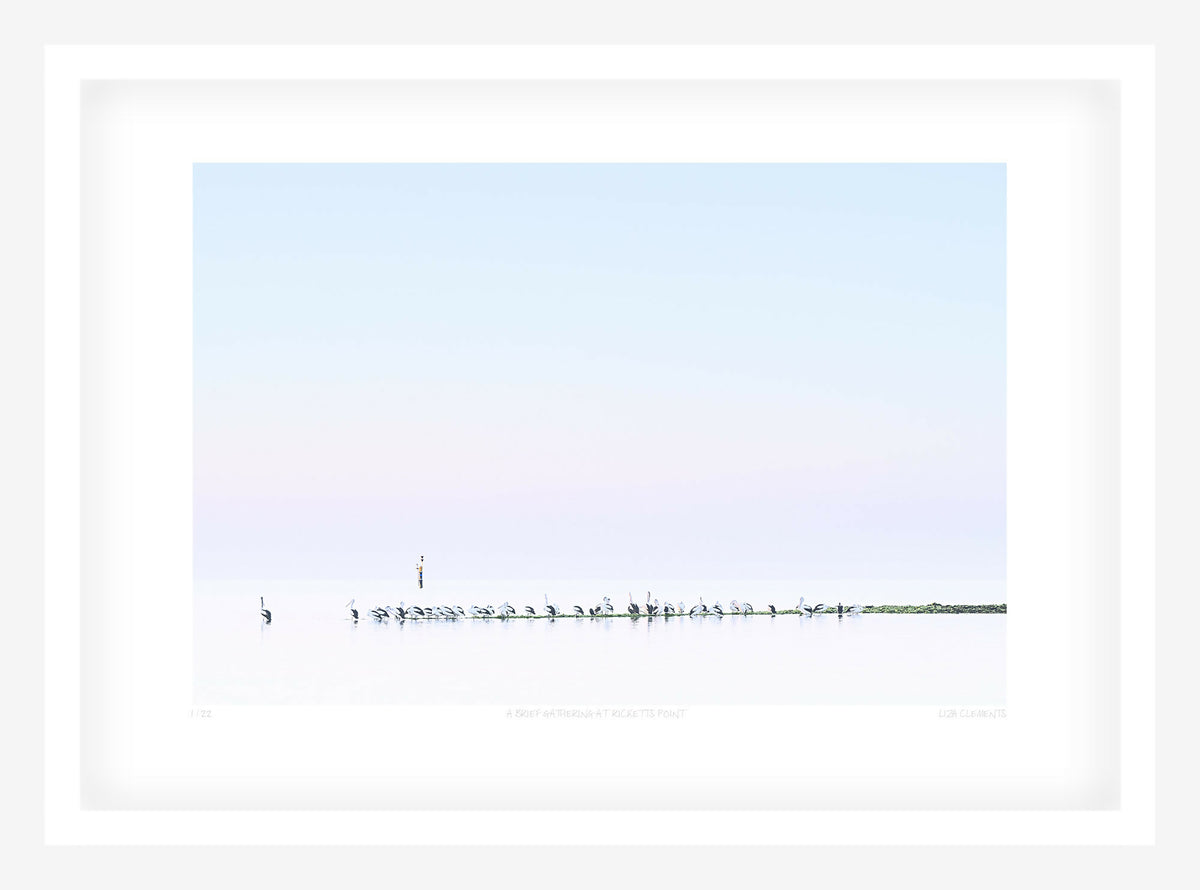 A Brief Gathering at Ricketts Point
