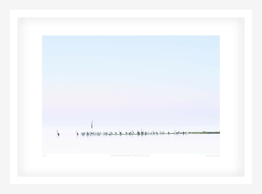 A Brief Gathering at Ricketts Point
