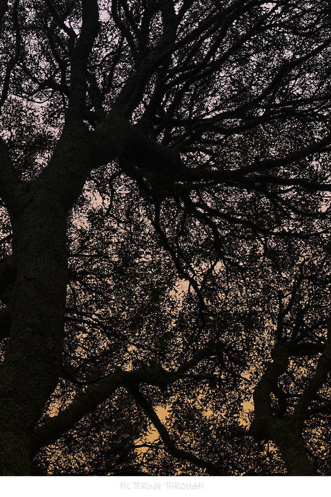 Filtering Through