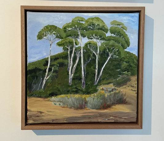 Tea tree on Dune