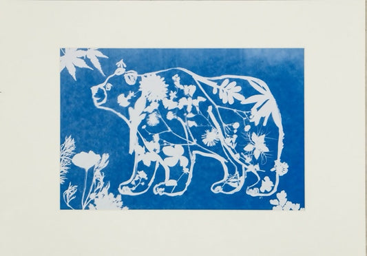 “Creatures of Sunlight” – Original Animal-Themed Cyanotype Artworks
