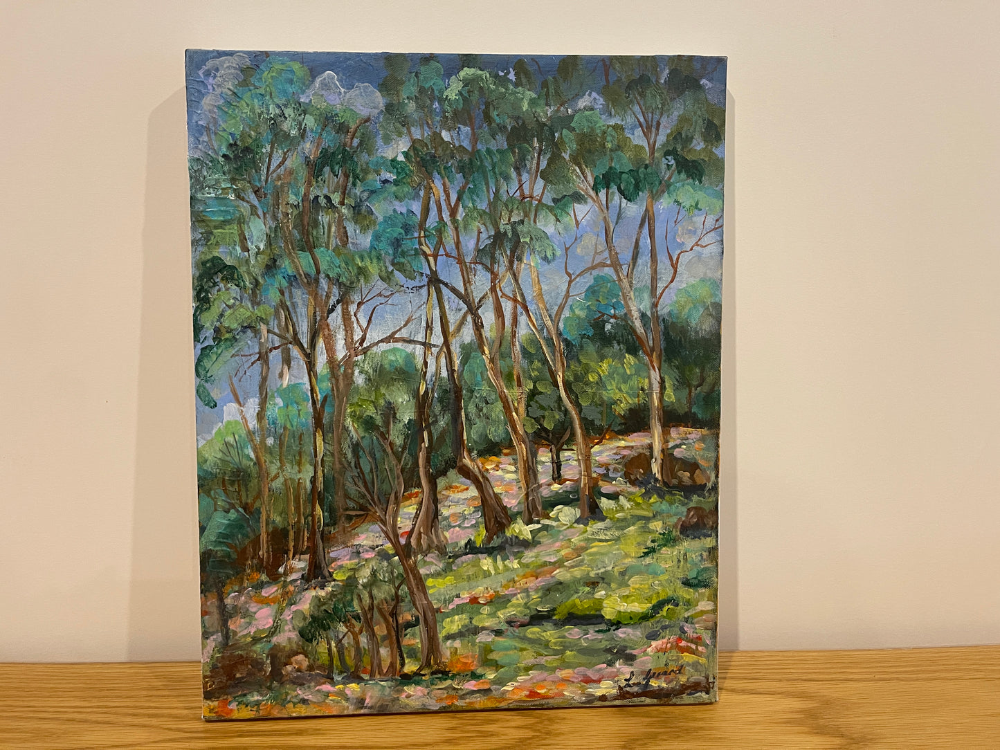 Witternberg Reserve - Painting