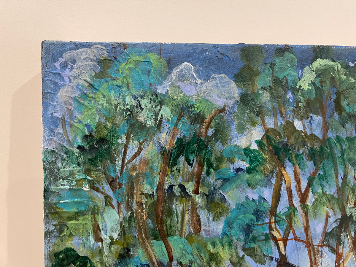 Witternberg Reserve - Painting
