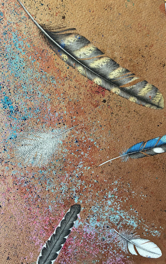 Feather Treasures
