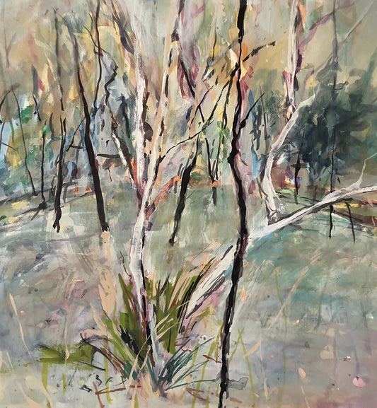 Bush Rhythms
