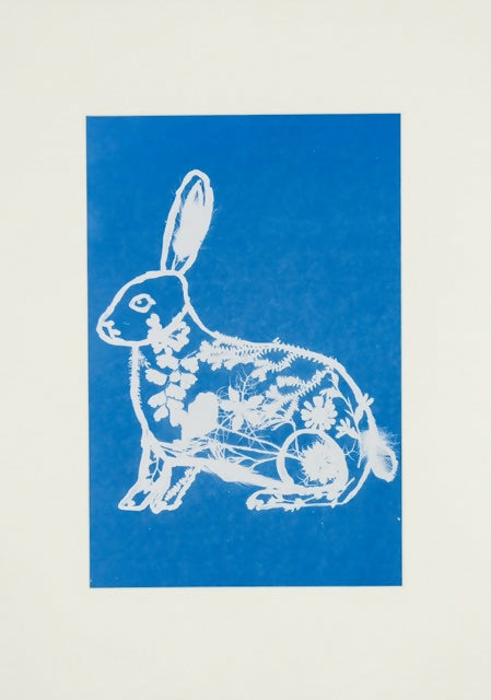 “Creatures of Sunlight” – Original Animal-Themed Cyanotype Artworks
