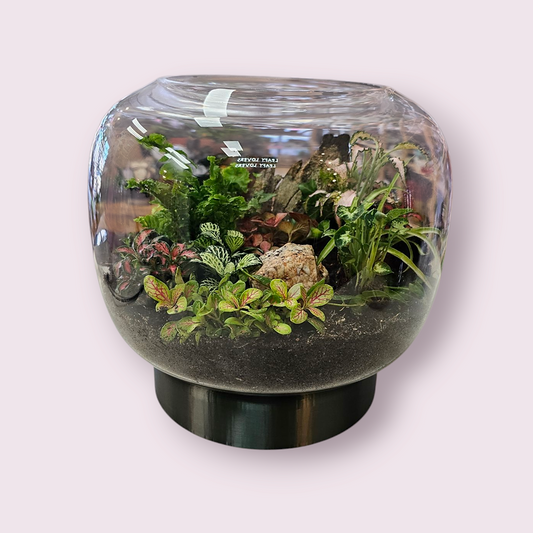 Little Garden World