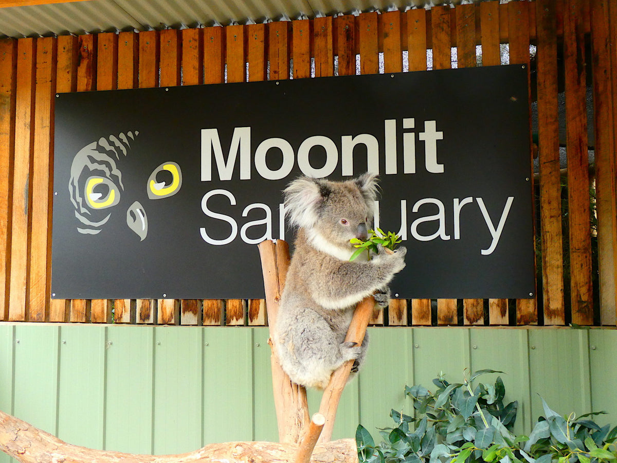 Moonlit Sanctuary - RRP $99