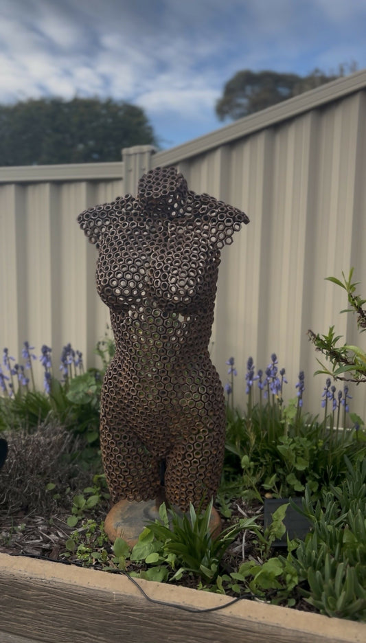 Female bust "Nut-Meg"