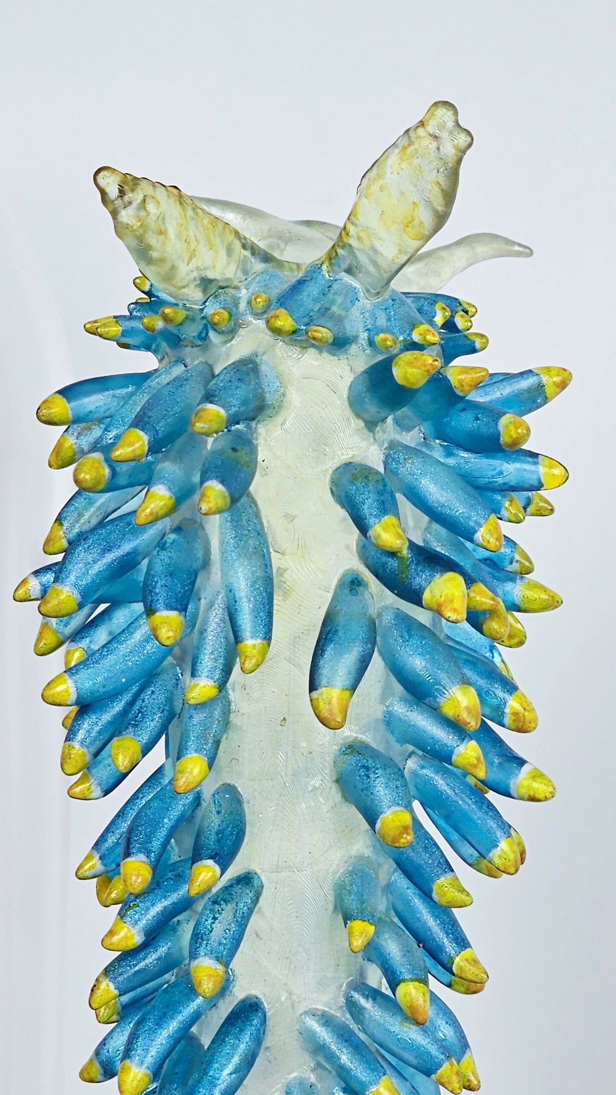 Irony Specimen: Nudibranch Berghia, Edition 2/3