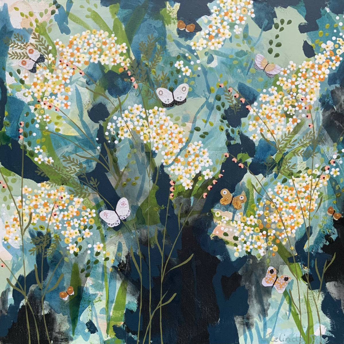 Butterfly Collective