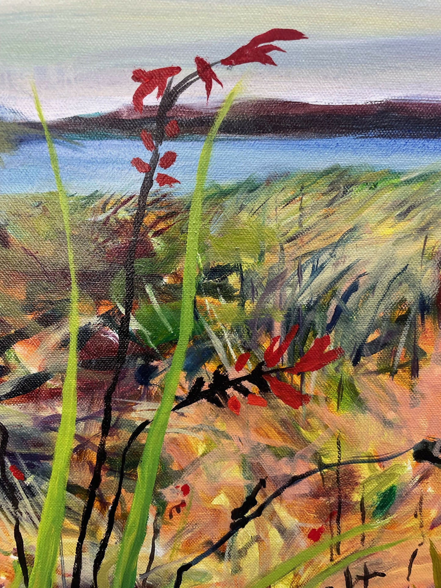 Bay Trail on Bunurong Land