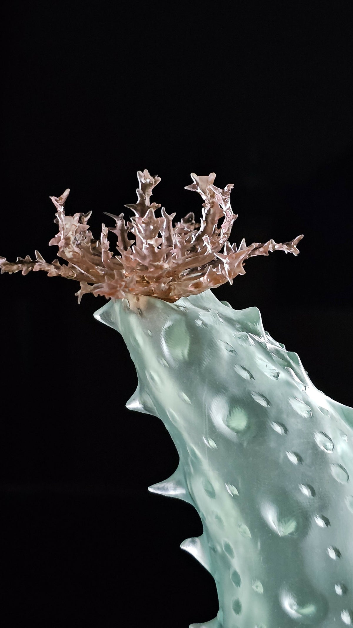 Irony Specimens: Sea Cucumber, Edition 3/3