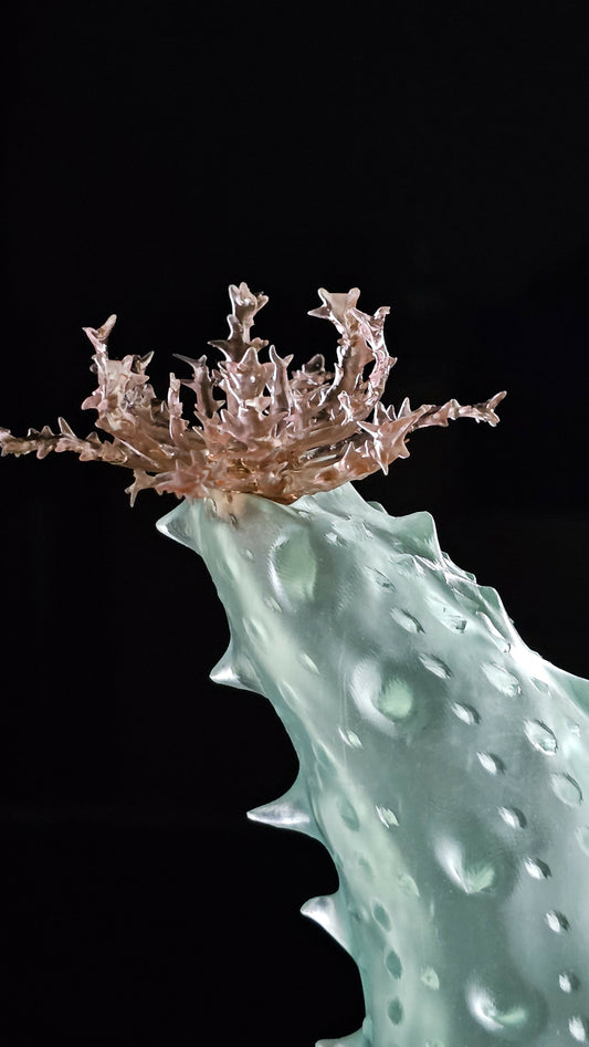 Irony Specimens: Sea Cucumber, Edition 3/3