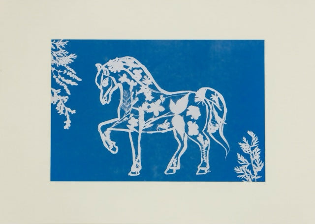 “Creatures of Sunlight” – Original Animal-Themed Cyanotype Artworks