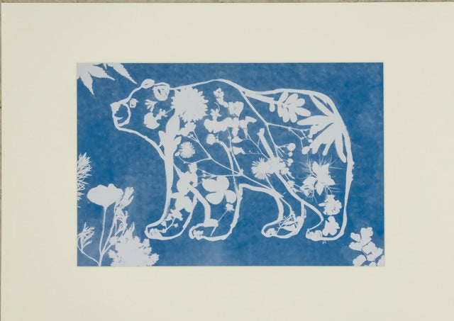 “Creatures of Sunlight” – Original Animal-Themed Cyanotype Artworks