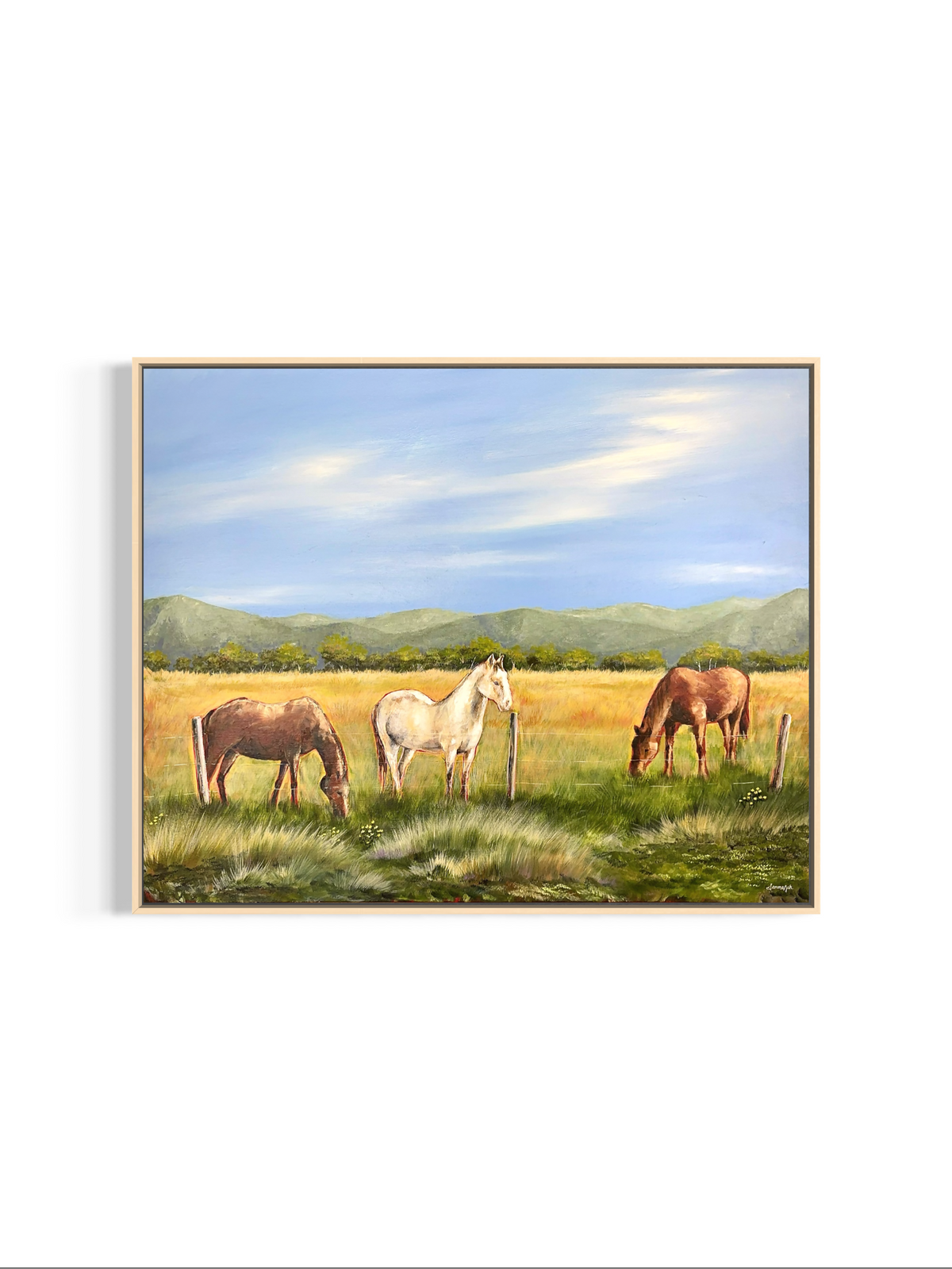 High Country Horses