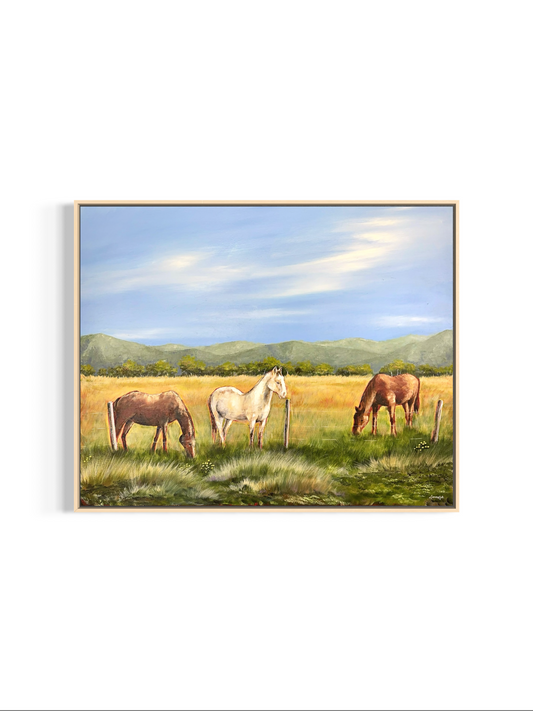 High Country Horses
