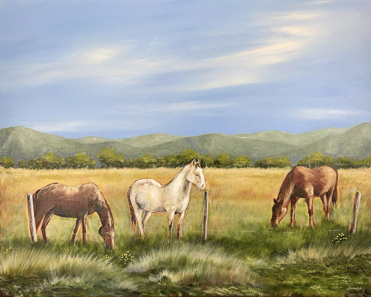High Country Horses