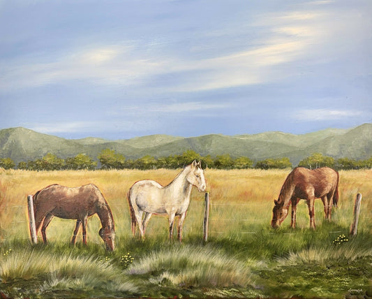 High Country Horses