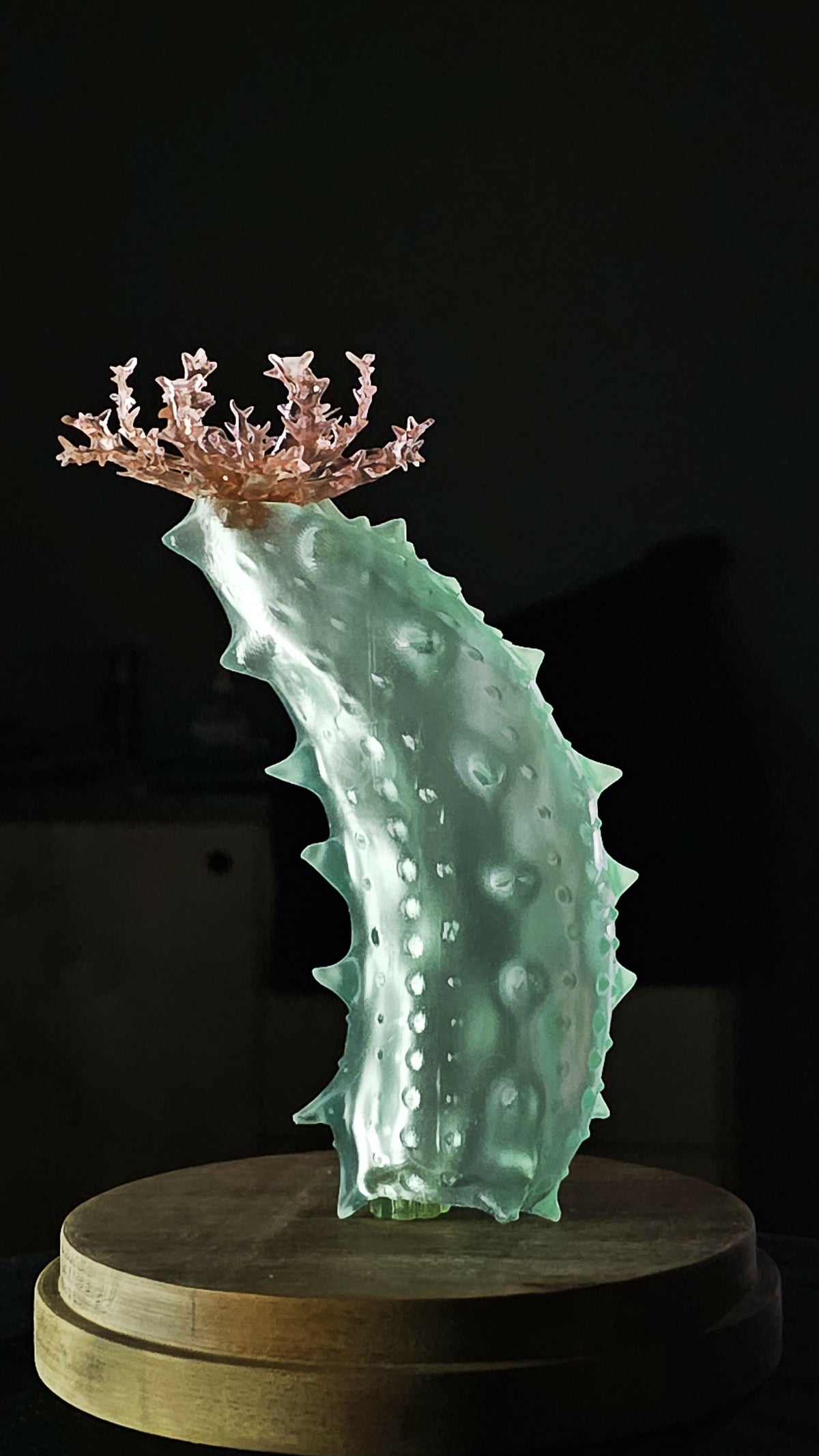 Irony Specimens: Sea Cucumber, Edition 3/3