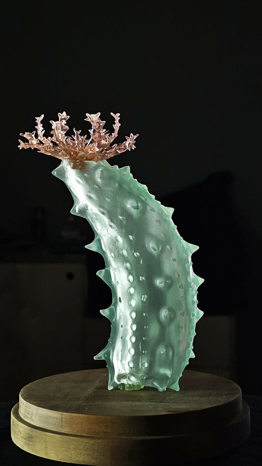 Irony Specimens: Sea Cucumber, Edition 3/3