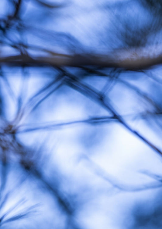 The Lightness of being a Leaf 03