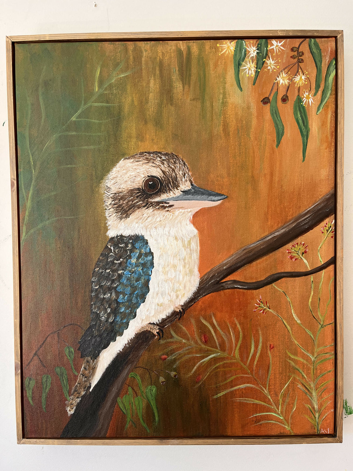Kookaburra Sits