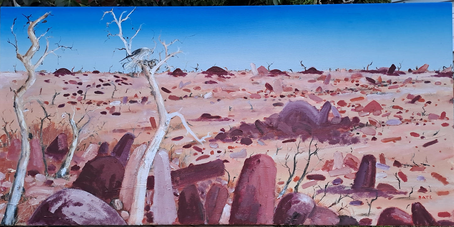Sturt Stony Desert Pavement