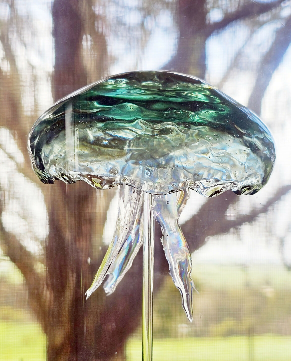 Irony Specimens: Moon Jellyfish, Edition 5/8