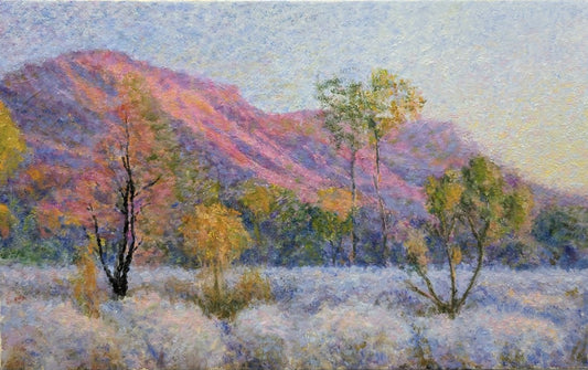 A sunset at Alice Springs