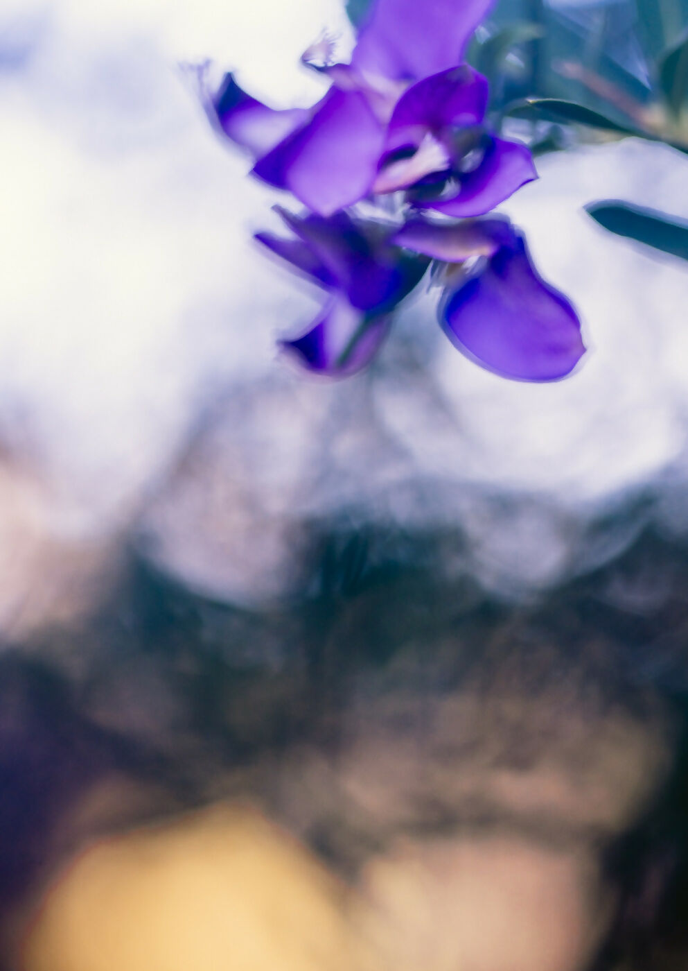 The Lightness of being a Leaf 04