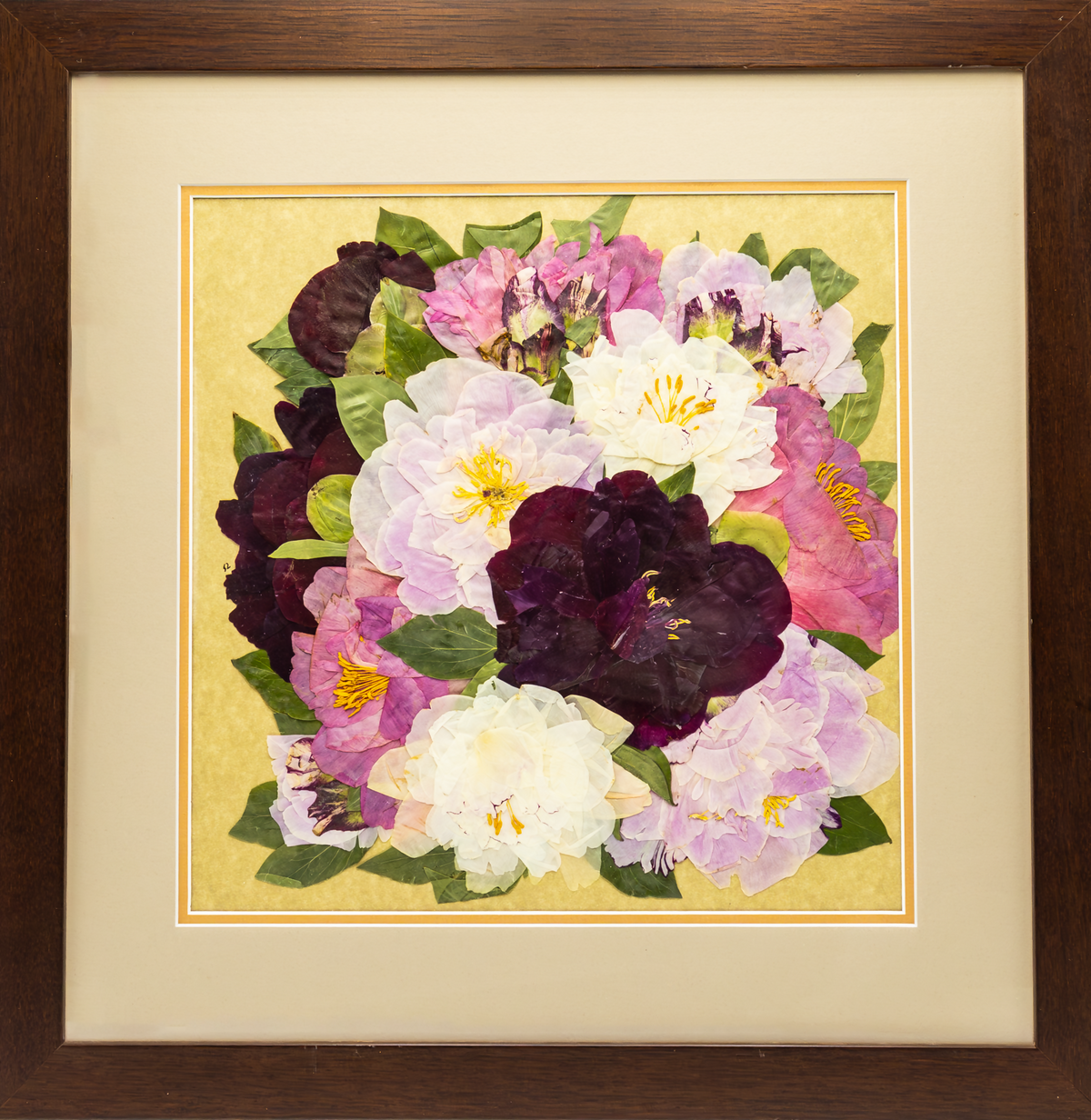 The Language of Peonies