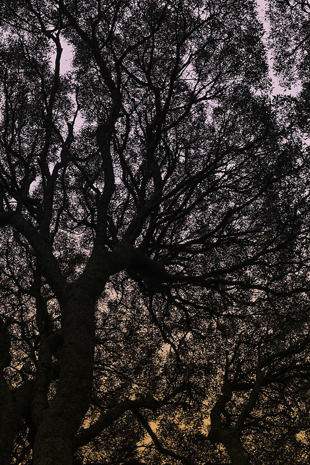 Filtering Through