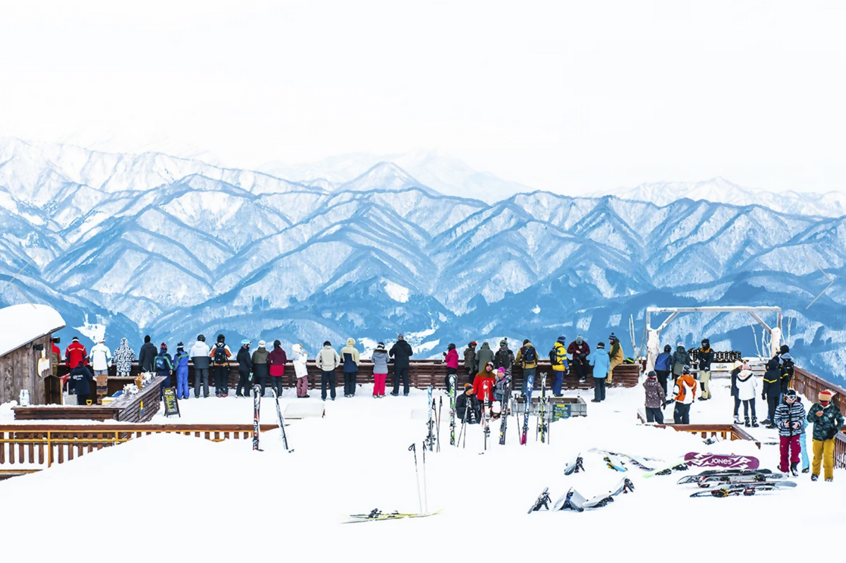 I'LL SEND YOU A POSTCARD - HAKUBA