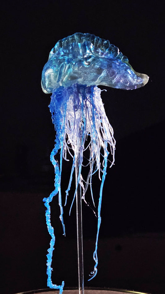Irony Specimens: Bluebottle, Edition 5/7
