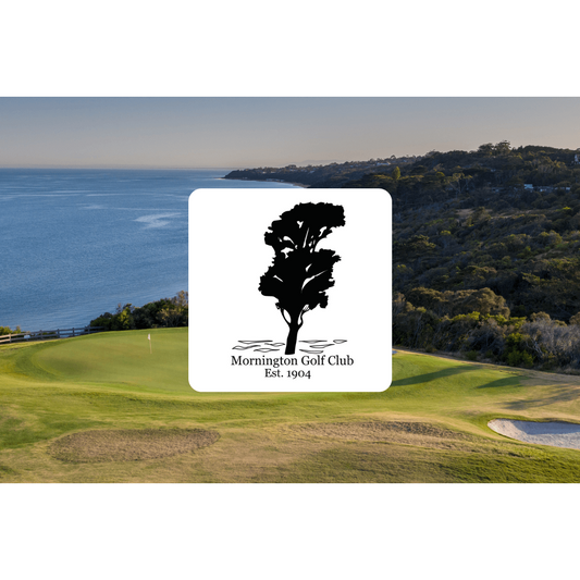 Hole in One Golf - RRP $340