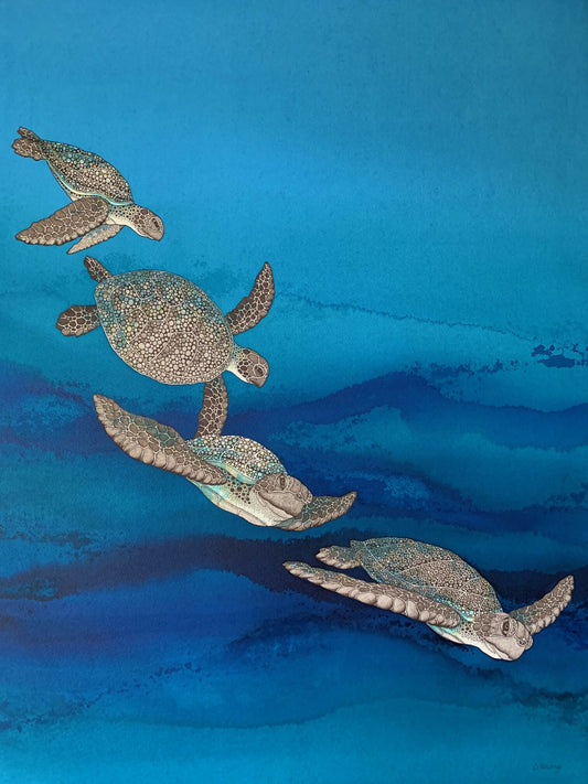 Sea Turtle Convoy