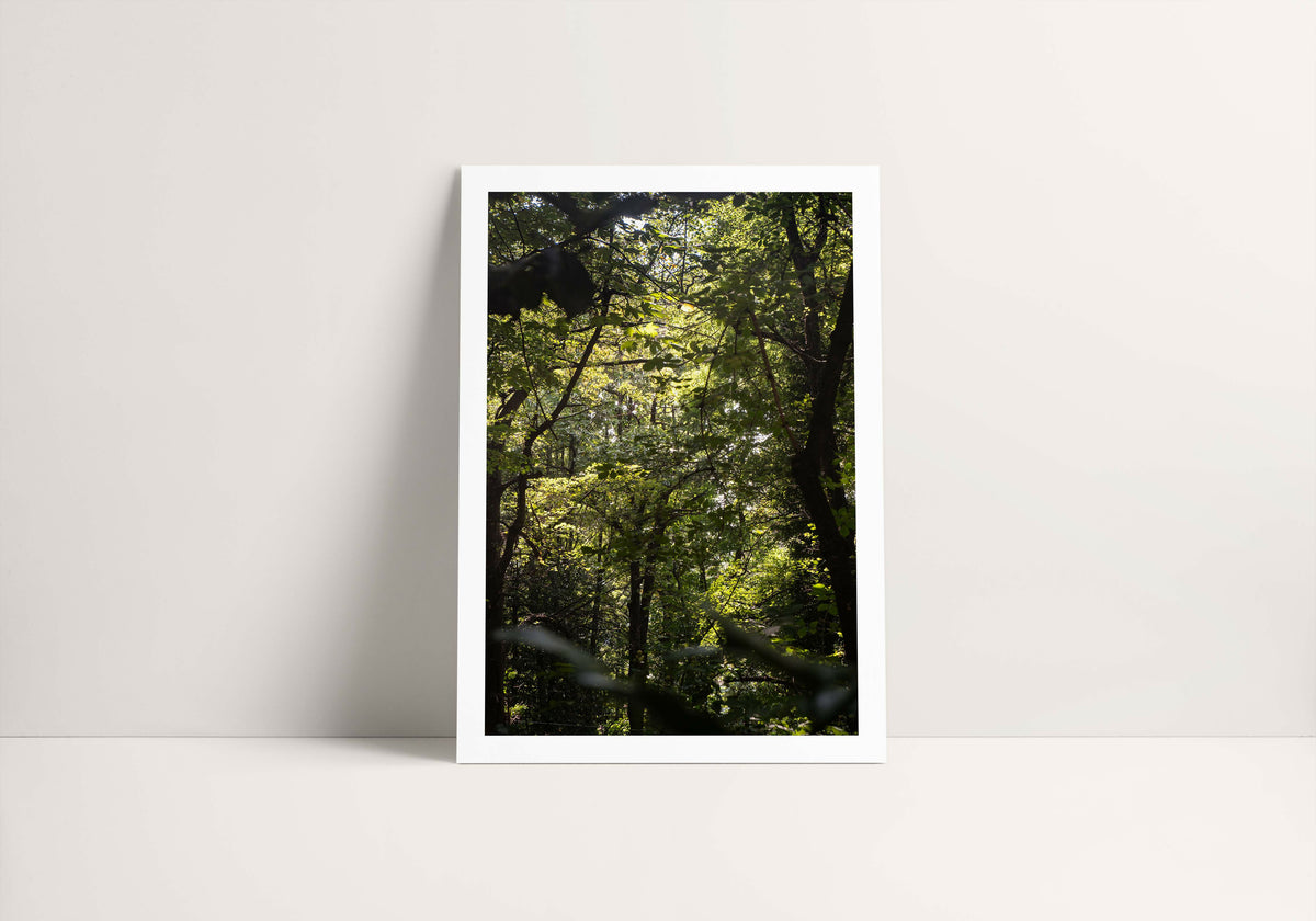 A4 Photography Print