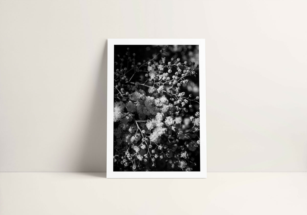 A3 Photography Print