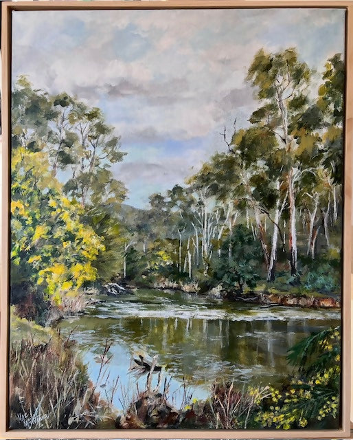 Wattle on the Yarra