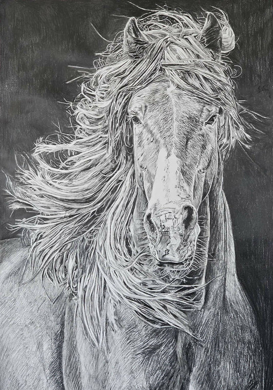 Brumby - Whispers through the mane - 2