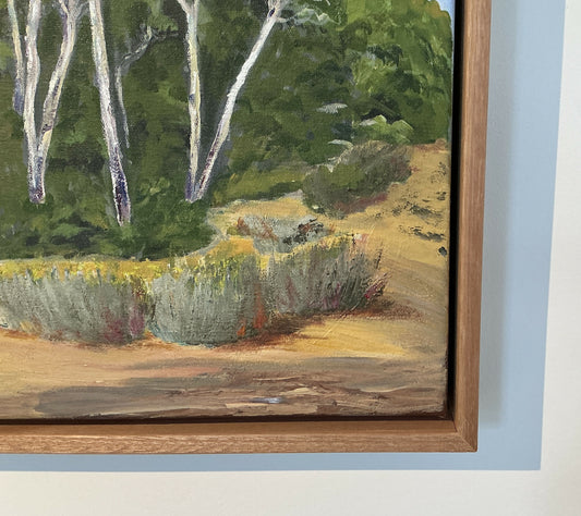 Tea tree on Dune