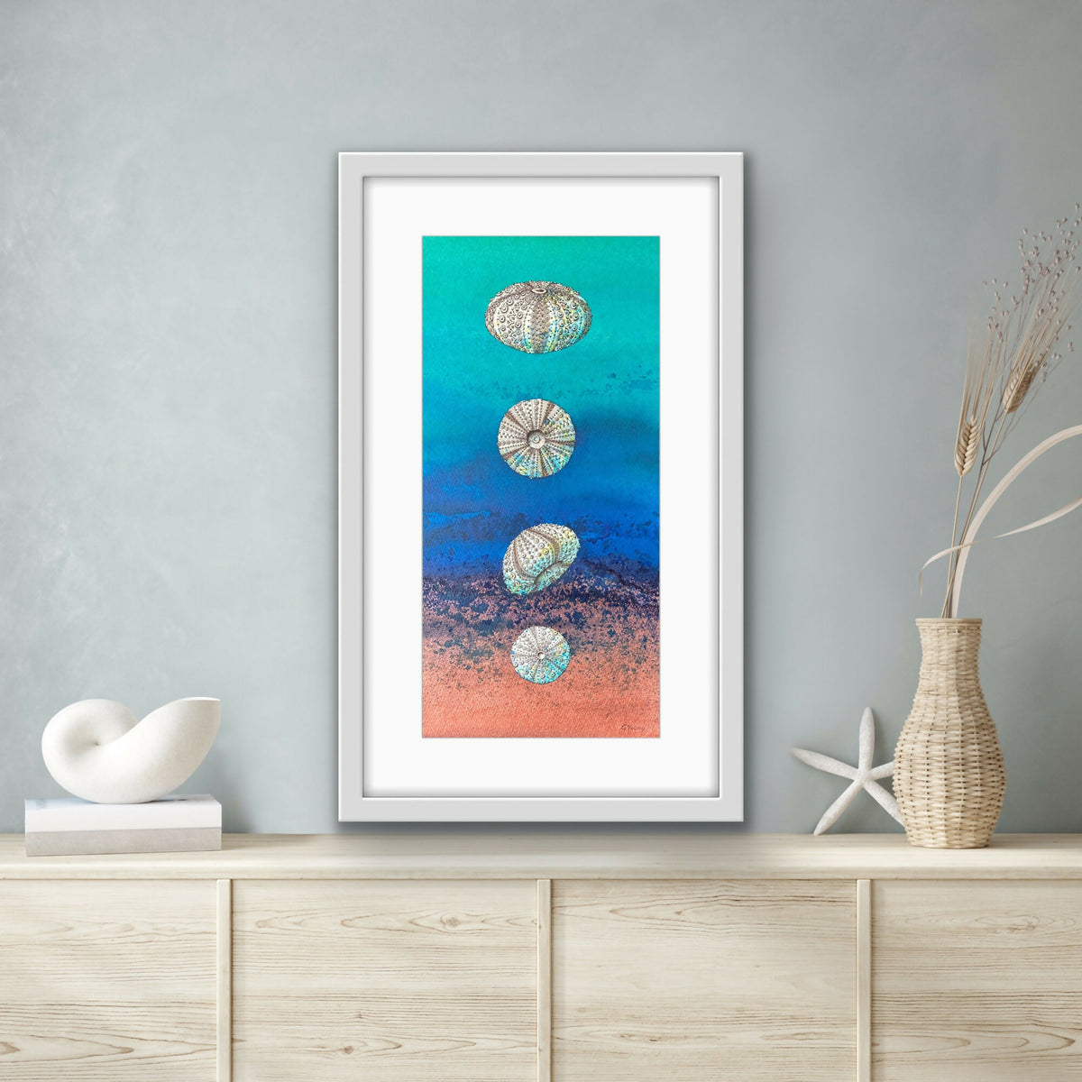 Summer Sea Urchins