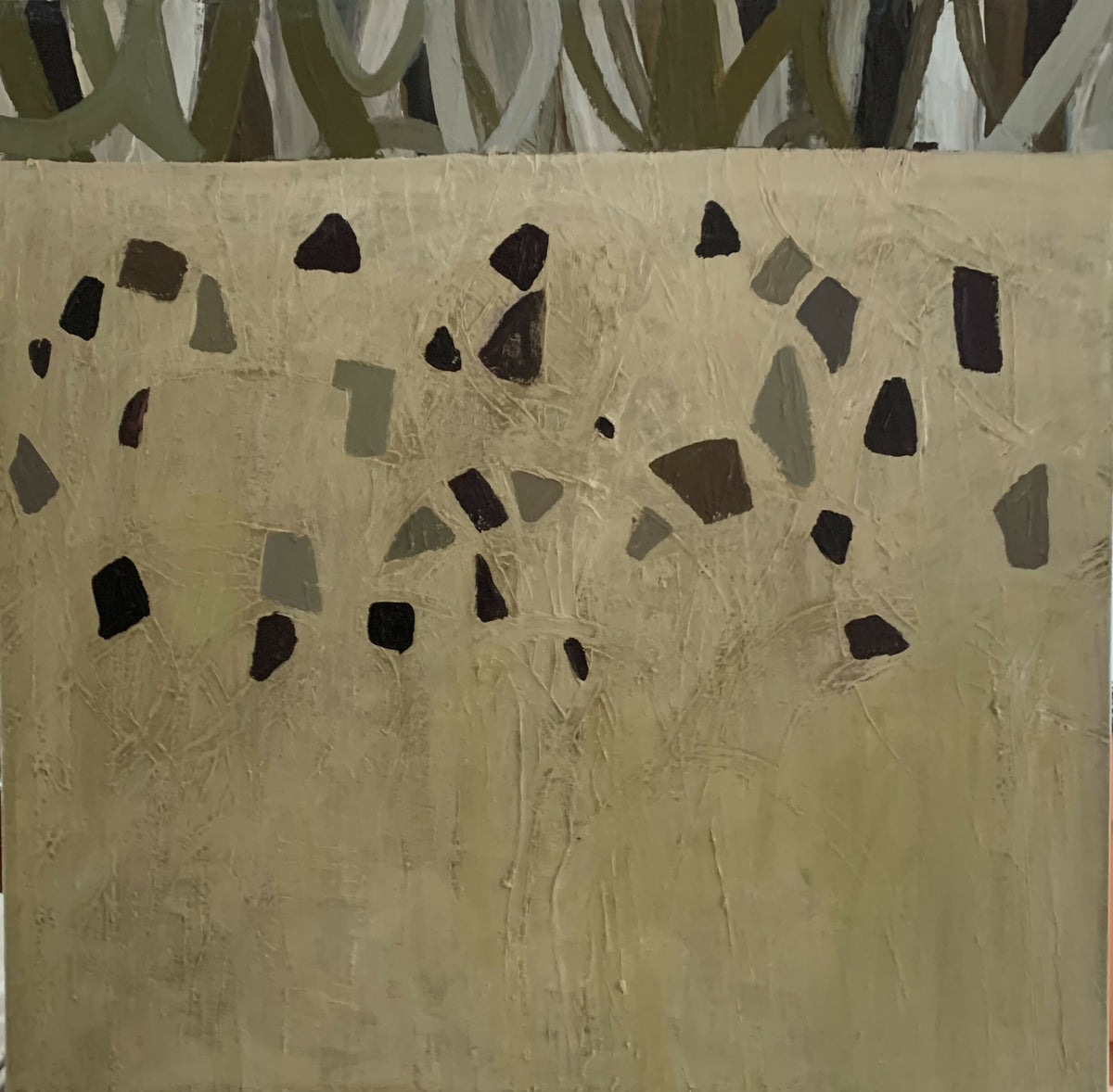 Mangroves Sand and Pebbles