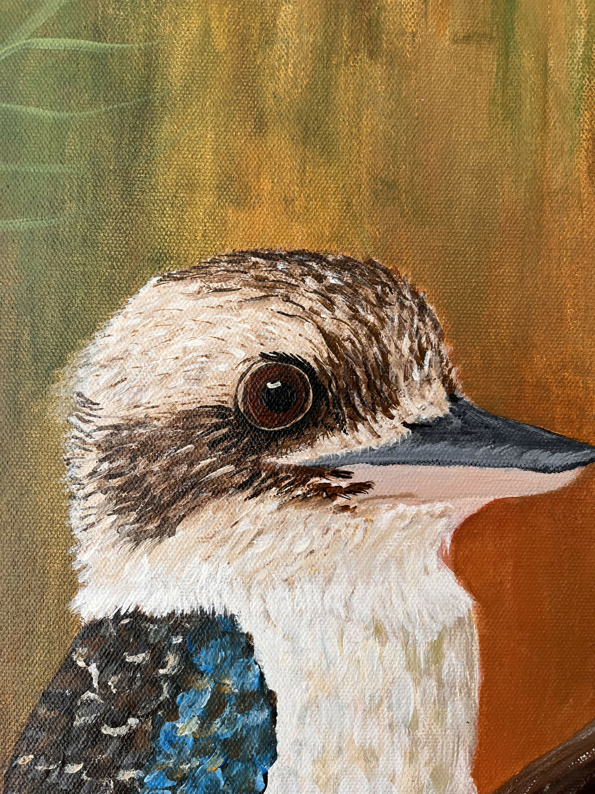 Kookaburra Sits
