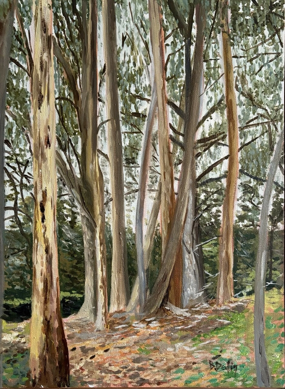 Sentinels of the Creek (II)