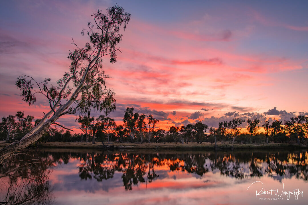 On the banks of the Murray